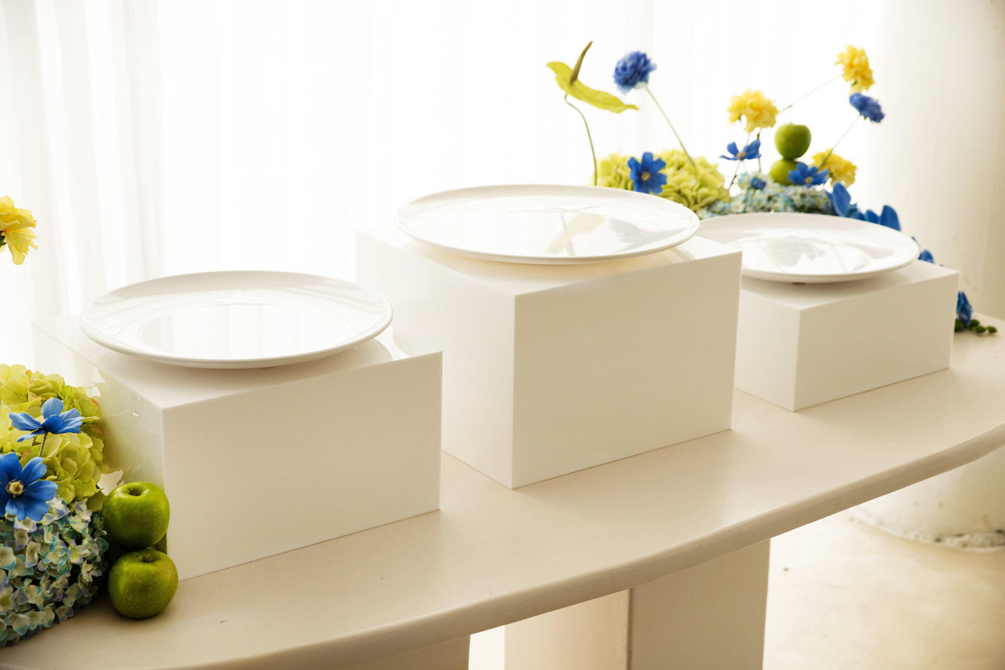 Elegant Flat platter Set for Various Uses
